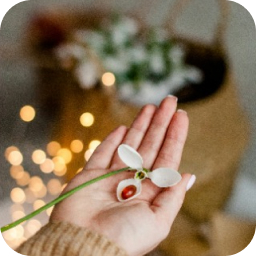 Чарівна пігулка чи системний підхід